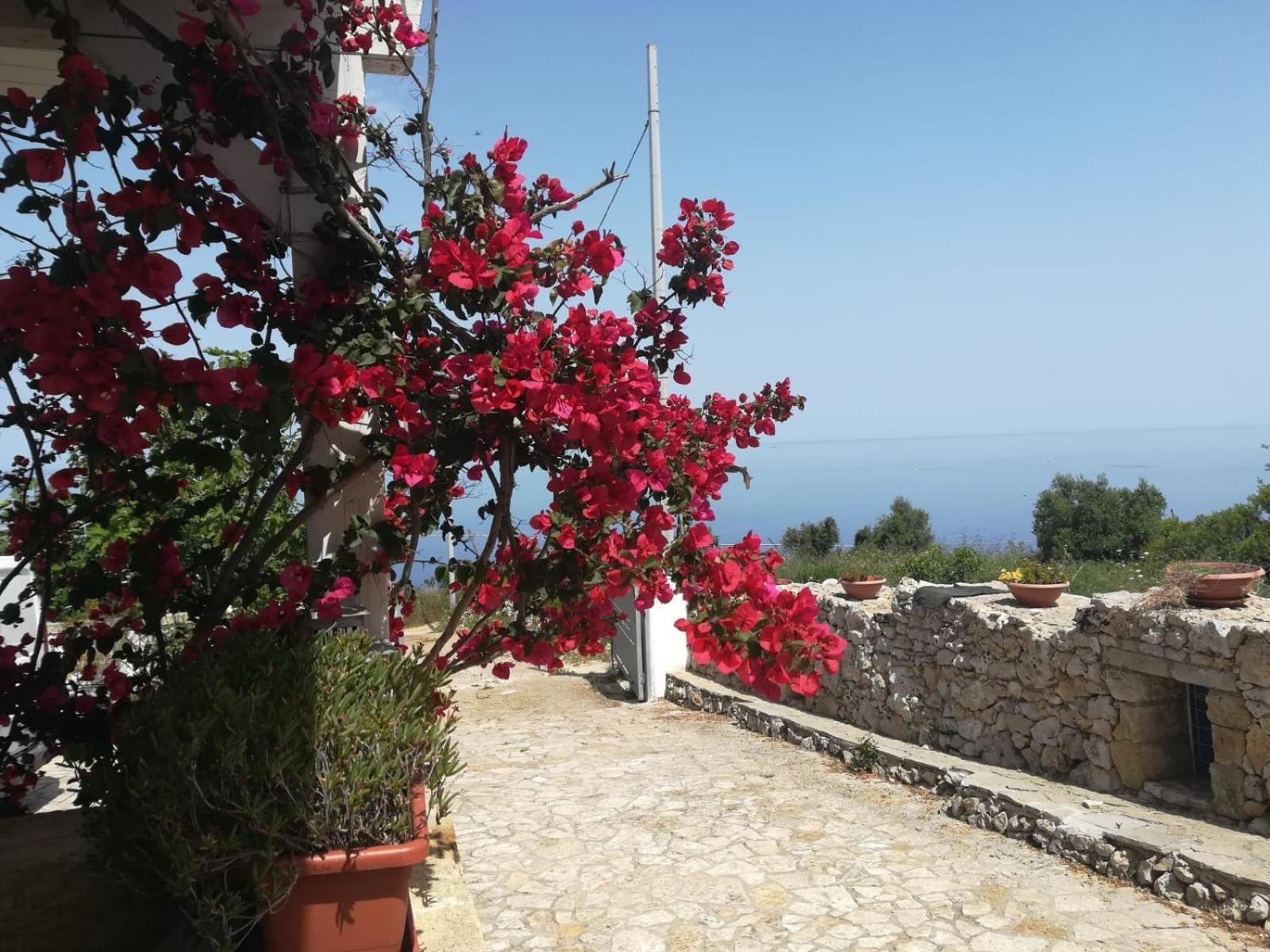 Azzurrosalento Villa Marina Serra Exterior photo